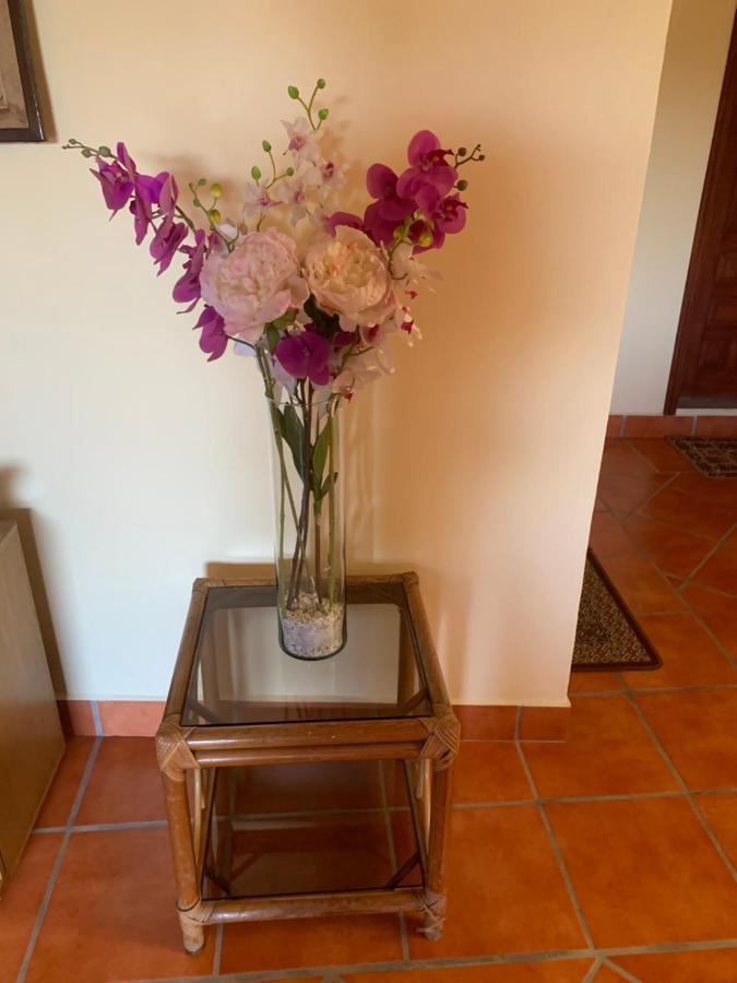 Appartamento Casa Fraile San Miguel San Miguel de Allende Esterno foto